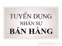Cần người cao tuổi gắn bó với công việc bán hàng Cần người cao tuổi gắn bó với công việc bán hàng