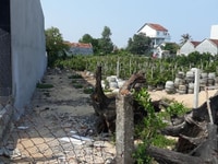 Bán Lô Đất Khu Phố Liên Trì một Phường 9 Bán Lô Đất Khu Phố Liên Trì một Phường 9
