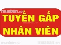 Tuyển 05 nhân viên phát triển thị trường Tuyển 05 nhân viên phát triển thị trường