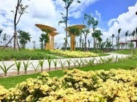 Dream city Ngay TTHC Huyện Bàu Bàng Giá Rẻ 599tr/nền Dream city Ngay TTHC Huyện Bàu Bàng Giá Rẻ 599tr/nền