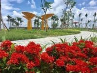 Đất nền KCN Bàu Bàng - Bình Dương 599 triệu/nền. Đất nền KCN Bàu Bàng - Bình Dương 599 triệu/nền.
