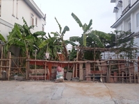 Bán gấp lô góc 2MT hẻm víp Phan Đình Phùng. DT: 8m x 16m, vuông vức Bán gấp lô góc 2MT hẻm víp Phan Đình Phùng. DT: 8m x 16m, vuông vức