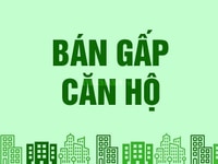 Chính chủ bán căn hộ chung cư Sunrise 90 Trần Thái Tông, DT 157,3m2 Chính chủ bán căn hộ chung cư Sunrise 90 Trần Thái Tông, DT 157,3m2