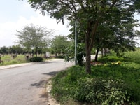Cần bán đất nền xã Long Thới, huyện Nhà Bè Cần bán đất nền xã Long Thới, huyện Nhà Bè