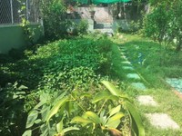 Nhà vườn 2 tầng gần CĐSP Trung Ương 300m2 Giá rẻ Nhà vườn 2 tầng gần CĐSP Trung Ương 300m2 Giá rẻ