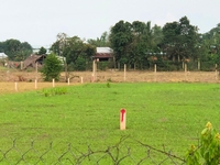 100% Đất Thổ Cư, cơn ''sốt'' đất nền Củ Chi chưa bao giờ hạ nhiệt 100% Đất Thổ Cư, cơn ''sốt'' đất nền Củ Chi chưa bao giờ hạ nhiệt