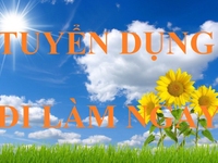 Tuyển 4 nhân viên KD PHÂN PHỐI phụ tùng ô tô, K yêu cầu kinh nghiệm Tuyển 4 nhân viên KD PHÂN PHỐI phụ tùng ô tô, K yêu cầu kinh nghiệm