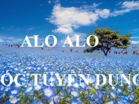 Tuyển 5 nhân viên kinh doanh bán sơn nước, gấp gấp Tuyển 5 nhân viên kinh doanh bán sơn nước, gấp gấp
