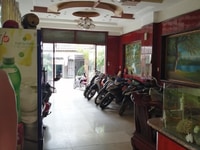 Nhà mới đón Tết Đẹp kiêu sa Quận 10 - Giá siêu hời Nhà mới đón Tết Đẹp kiêu sa Quận 10 - Giá siêu hời