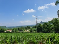 Bán lô đất 7300m2 làm khu nghỉ dưỡng tại xã Liên Sơn, Lương Sơn, HB Bán lô đất 7300m2 làm khu nghỉ dưỡng tại xã Liên Sơn, Lương Sơn, HB