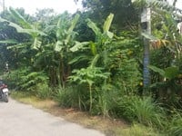 800m2 đất thổ cư mặt tiền 20m đường nhựa,cách ngã tư TL2-NTR 200 mét. 800m2 đất thổ cư mặt tiền 20m đường nhựa,cách ngã tư TL2-NTR 200 mét.