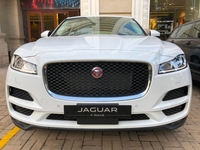 Bán xe Jaguar F-Pace Pure Nhập Mới Giá Tốt Bán xe Jaguar F-Pace Pure Nhập Mới Giá Tốt