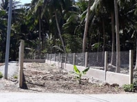 Cần bán lô đất nền thổ cư tại Xã Hòa Định, Huyện Chợ Gạo, Tiền Giang Cần bán lô đất nền thổ cư tại Xã Hòa Định, Huyện Chợ Gạo, Tiền Giang