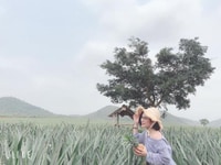 Mình đang cần người giúp việc để chăm sóc em bé 6 tháng làm ở lại nhà Mình đang cần người giúp việc để chăm sóc em bé 6 tháng làm ở lại nhà