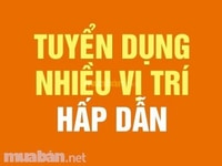 Tuyển nam nữ bán hàng lâu dài hoặc thời vụ Tuyển nam nữ bán hàng lâu dài hoặc thời vụ