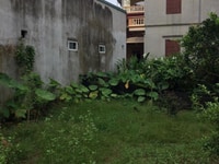 Bán gấp lô 125m2 MT Hoàng Phan Thái,Bình Chánh, SHR, giá chi 13tr Bán gấp lô 125m2 MT Hoàng Phan Thái,Bình Chánh, SHR, giá chi 13tr
