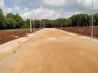 Đất bình Long,dự án mới, 5x32x50tc=180tr, đường 10m,vĩa hè đầy đủ Đất bình Long,dự án mới, 5x32x50tc=180tr, đường 10m,vĩa hè đầy đủ