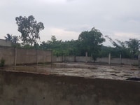 Bán 1115m2 đất mặt tiền đường trần văn giàu huyện bình chánh Bán 1115m2 đất mặt tiền đường trần văn giàu huyện bình chánh