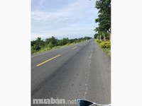 Bán đất MT Quốc Lộ 61C, Hậu Giang. đoạn 1 ngàn, giá rẻ nhất!!! Bán đất MT Quốc Lộ 61C, Hậu Giang. đoạn 1 ngàn, giá rẻ nhất!!!