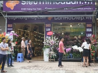Thợ Cắm Ghép Chậu Hoa Lan Hồ Điệp Kiêm Bán Hàng Thợ Cắm Ghép Chậu Hoa Lan Hồ Điệp Kiêm Bán Hàng