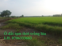 Cho thuê đất trồng cây lâu năm 5177m2, 48tr/năm, x. An Tây, TX Bến Cát Cho thuê đất trồng cây lâu năm 5177m2, 48tr/năm, x. An Tây, TX Bến Cát