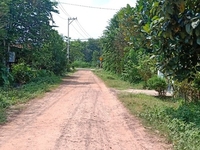 Nhà chính chủ 1 sẹc Nguyễn Thị Nê xã Phú Hòa Đông huyện Củ Chi Nhà chính chủ 1 sẹc Nguyễn Thị Nê xã Phú Hòa Đông huyện Củ Chi