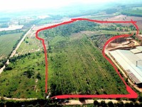 Bán đất xã xuân hưng huyện xuân lộc đồng nai Bán đất xã xuân hưng huyện xuân lộc đồng nai