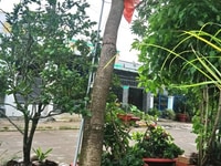 Nhà cấp 4 đẹp, cần sang gấp thuộcTT huyện Nhà cấp 4 đẹp, cần sang gấp thuộcTT huyện