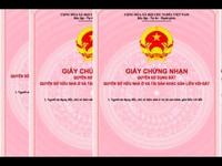Kẹt vốn KD bán nhanh lô đất Tô Hiến Thành giá mềm, đầu tư cực tốt, SHR Kẹt vốn KD bán nhanh lô đất Tô Hiến Thành giá mềm, đầu tư cực tốt, SHR