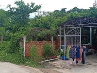 Bán Nhà Đất Xã An Thới Đông-Đường Rùng Sác-Huyện Cần Giờ-TP HCM Bán Nhà Đất Xã An Thới Đông-Đường Rùng Sác-Huyện Cần Giờ-TP HCM