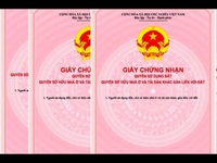 Chính chủ ra đi gấp lô đất vuông vức, hướng Đông phong thủy cực tốt Chính chủ ra đi gấp lô đất vuông vức, hướng Đông phong thủy cực tốt