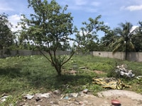 Bán miếng đất quá tiêm năng, khu vực 5, p. Ba láng , quận cái răng Bán miếng đất quá tiêm năng, khu vực 5, p. Ba láng , quận cái răng
