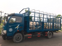 Bán xe tải IZ49 máy ISUZU tải 2,5 tấn đã qua sử dụng xe rất mới Bán xe tải IZ49 máy ISUZU tải 2,5 tấn đã qua sử dụng xe rất mới