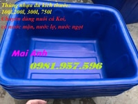 Thùng nhựa nuôi cá cảnh, thùng đựng hóa chất, thùng đựng chất lỏng Thùng nhựa nuôi cá cảnh, thùng đựng hóa chất, thùng đựng chất lỏng