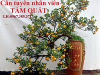 469 Kim Ngưu,Q Hai Bà Trưng,Tp Hà Nội, cần tuyển gấp NV TẨM QUẤT 469 Kim Ngưu,Q Hai Bà Trưng,Tp Hà Nội, cần tuyển gấp NV TẨM QUẤT