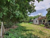 Cô 9 kẹt quá bán tháo lỗ luôn 315m2 ngang 15m , quá rẻ Cô 9 kẹt quá bán tháo lỗ luôn 315m2 ngang 15m , quá rẻ