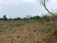 BÁN ĐẤT THỔ VƯỜN 500M2 (17,5x28), HẺM 366 PHẠM HỮU LẦU PHƯỚC KIỂN BÁN ĐẤT THỔ VƯỜN 500M2 (17,5x28), HẺM 366 PHẠM HỮU LẦU PHƯỚC KIỂN