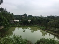 Cần thanh lý gấp 4.448m2 đất làm nghỉ dưỡng, tại xã Liên Sơn, Lương Cần thanh lý gấp 4.448m2 đất làm nghỉ dưỡng, tại xã Liên Sơn, Lương