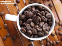 Cafe hạt giá sỉ tại Bình Dương, Thủ Dầu Một Cafe hạt giá sỉ tại Bình Dương, Thủ Dầu Một