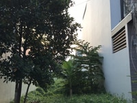 Bán lô đất 100m2 MT Trần Đại Nghĩa, THỔ CƯ 100%, SHR, giá 980 Triệu Bán lô đất 100m2 MT Trần Đại Nghĩa, THỔ CƯ 100%, SHR, giá 980 Triệu