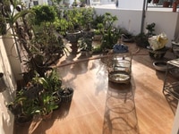 Nhà mới 3 tầng mặt tiềnđường a5 kđt vcn phước hải nha trang cần bán gi Nhà mới 3 tầng mặt tiềnđường a5 kđt vcn phước hải nha trang cần bán gi