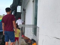 Nhượng lại dãy trọ trong khu dân cư Củ Chi Nhượng lại dãy trọ trong khu dân cư Củ Chi