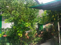 Nhà 800 triệu gần UBND xã Diên Lạc 171 m2 Nhà 800 triệu gần UBND xã Diên Lạc 171 m2