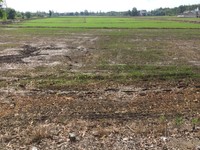 Bán đất thổ vườn 4.700m Bình Chánh. Giá: 500k/m2.THÔNG TIN THỰC TẾ Bán đất thổ vườn 4.700m Bình Chánh. Giá: 500k/m2.THÔNG TIN THỰC TẾ