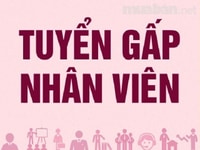Mầm non Hồng Ngọc Chung cư Ruby 1- Giang Biên- Long Biên. Cần tuyển Mầm non Hồng Ngọc Chung cư Ruby 1- Giang Biên- Long Biên. Cần tuyển