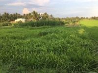 Bán 1017m đất mặt tiền dal3m huyện Gò Công Tây Bán 1017m đất mặt tiền dal3m huyện Gò Công Tây