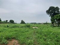 Cần thanh lý gấp lô đất thổ cư 3900m2, tại thôn 7 Phú Cát Cần thanh lý gấp lô đất thổ cư 3900m2, tại thôn 7 Phú Cát