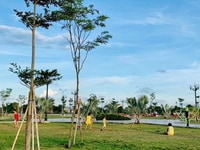 Mở bán giai đoạn 2 Quy Nhơn New City, Khu Đô Thị mới tại Bình Định Mở bán giai đoạn 2 Quy Nhơn New City, Khu Đô Thị mới tại Bình Định