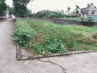 Bán Đất : Bạch Mai Đồng Thái An Dương Giá 680 triệu Bán Đất : Bạch Mai Đồng Thái An Dương Giá 680 triệu