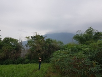 Thổ cư view đẹp giá rẻ, Vân Hòa, Ba Vì, Hà Nội Thổ cư view đẹp giá rẻ, Vân Hòa, Ba Vì, Hà Nội